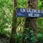 Becoming a Watchful Observer