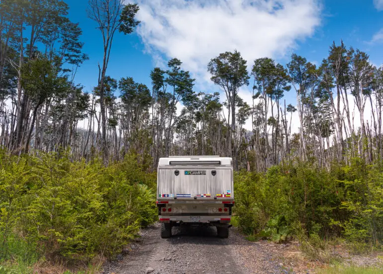 Navigating a remote forest road on the Carretera Austral