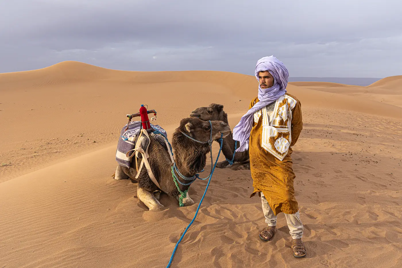 An Amazigh camel herder with his camel in the Erg Chigaga Desert