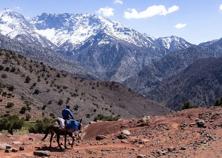 A muleteer in the High Atlas Mountains