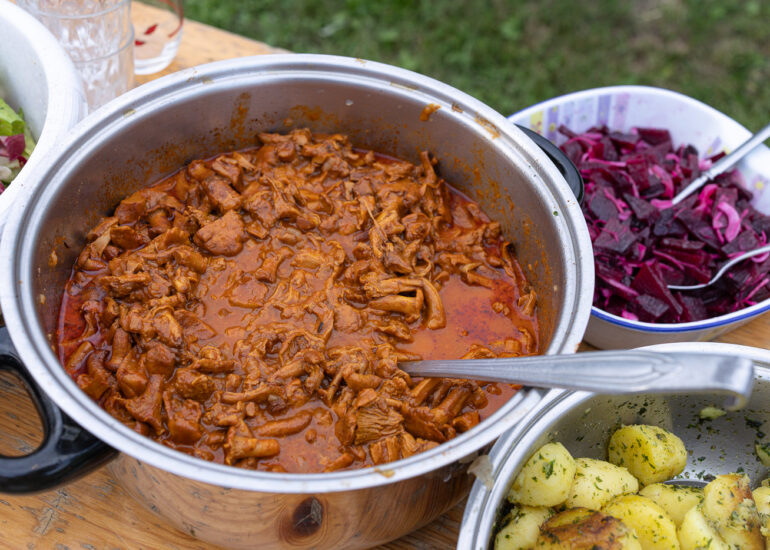 Family reunion meal mushroom goulash in Deutsch Griffen Austria