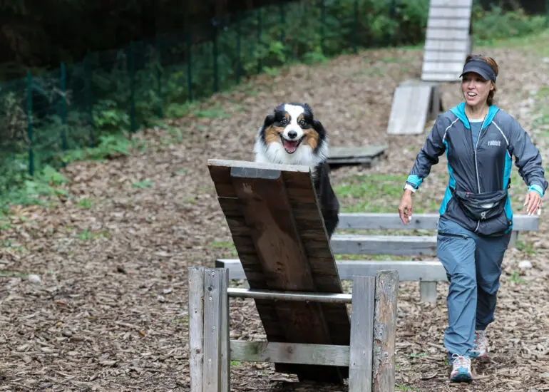 Oz doing an agility course in the Dolomites of Italy