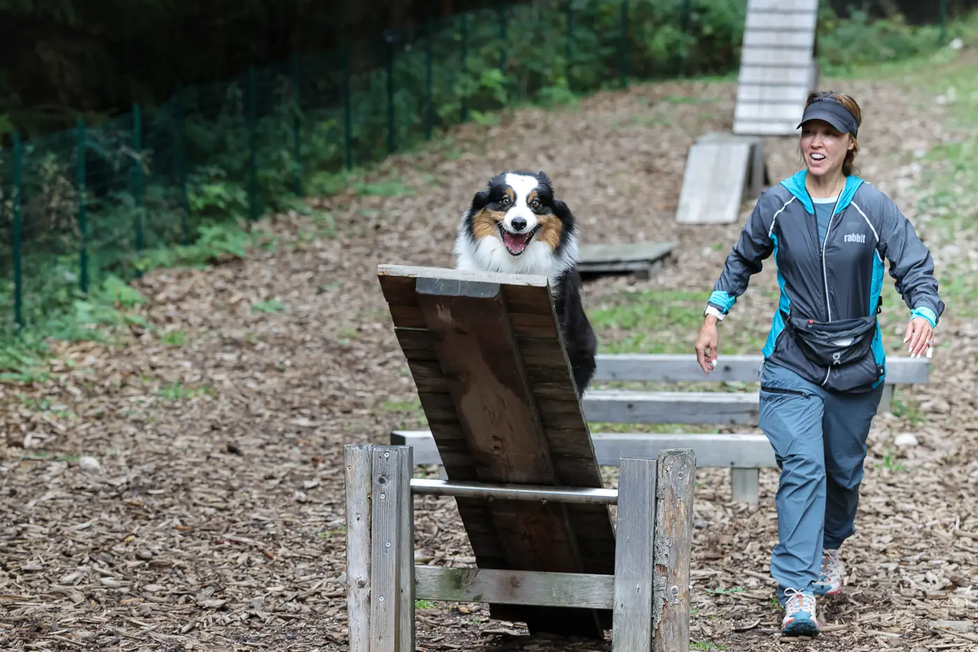 Oz doing an agility course in the Dolomites of Italy